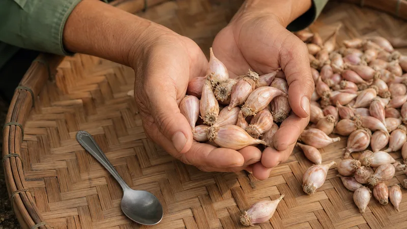 Những củ hành tăm chắc, sáng màu được lựa chọn trong mẹt tre