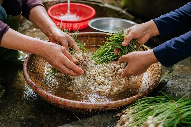 Làm sạch trong hành trình tạo nên Hành tăm Yên Thủy